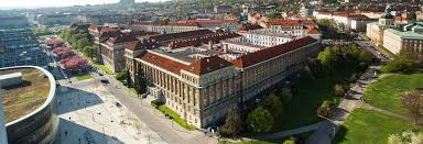 Czech Foundation Year